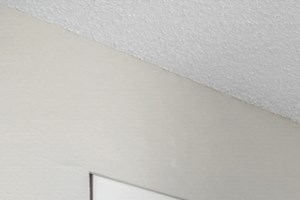 The Windsor Apartments Model Bedroom and Closet